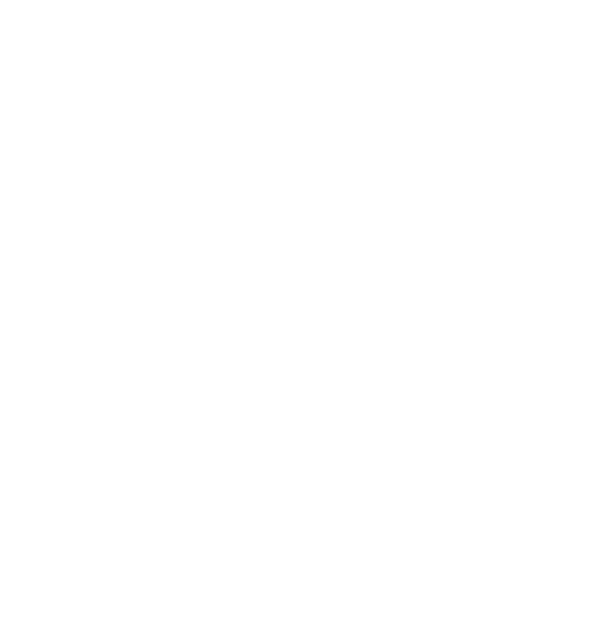 Light Logo